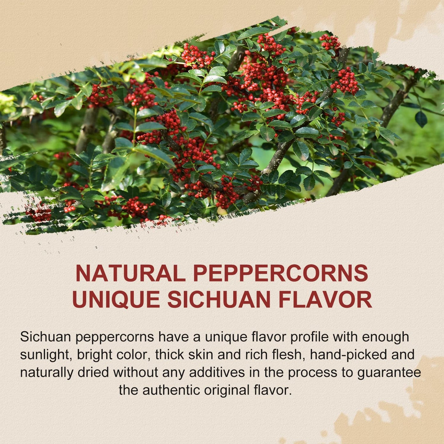 52USA Szechuan Peppercorns(4OZ), Sichuan Red Peppercorns, Tingly Numbness Whole Szechuan Peppercorns, Key Ingredients for Mapo Tofu and Scihuan Dishes