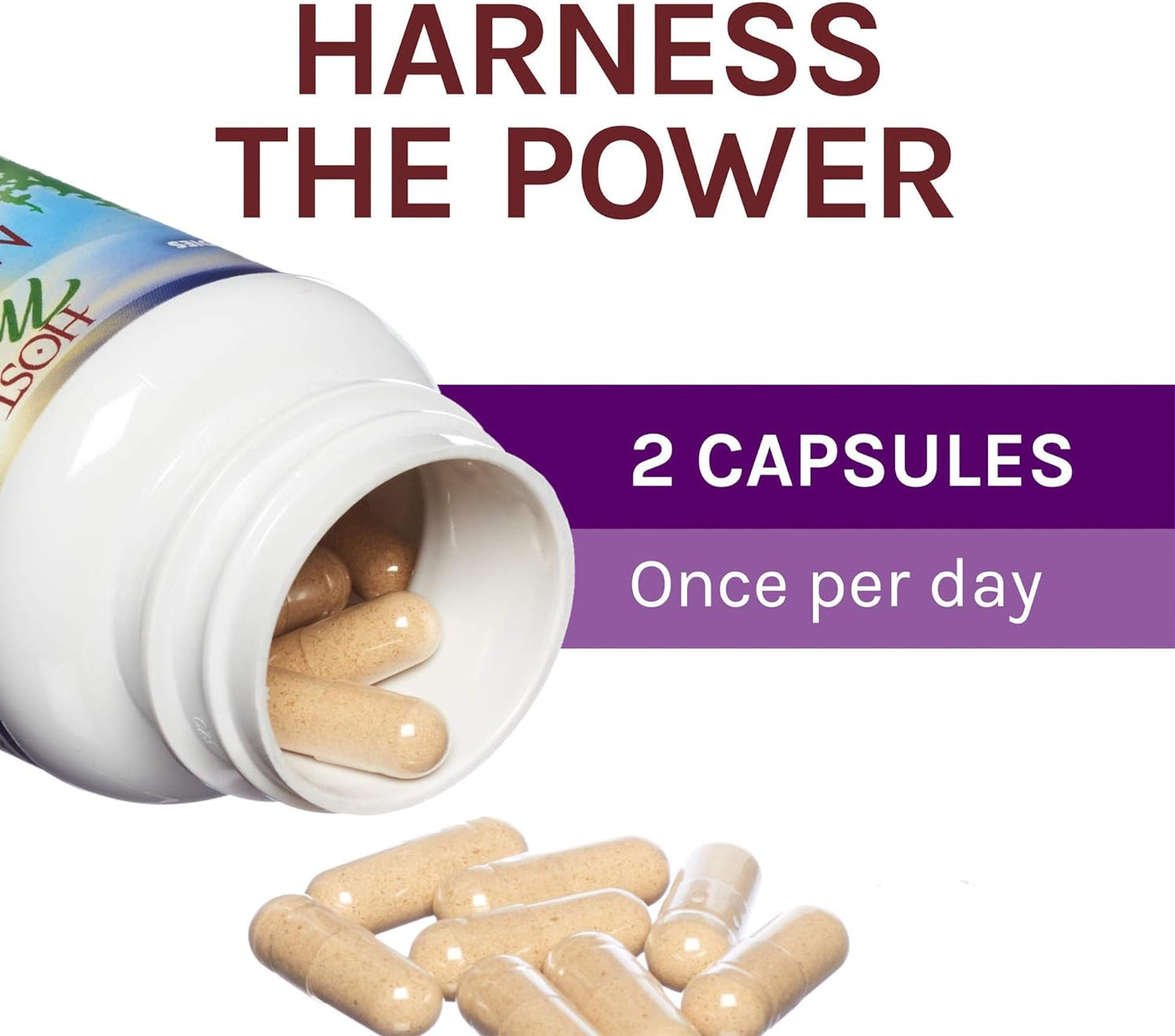 Host Defense, MyCommunity Capsules, Advanced Immune Support, Mushroom Supplement with Lion’s Mane and Reishi, Unflavored, 120