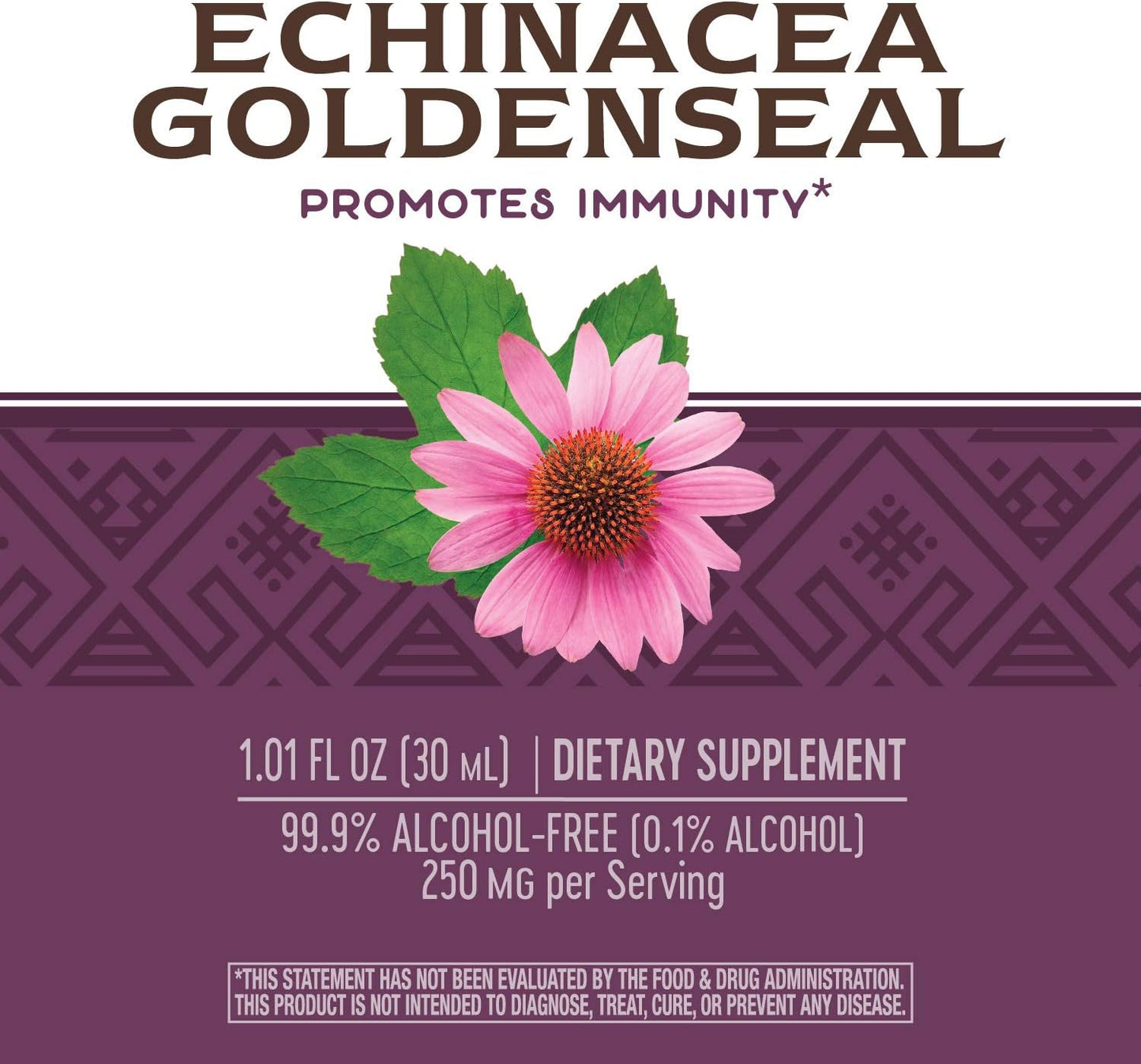 Nature's Way Premium Formula Echinacea-Goldenseal, 250 mg per serving, 99.9% Alcohol-Free, 1.01 Oz.