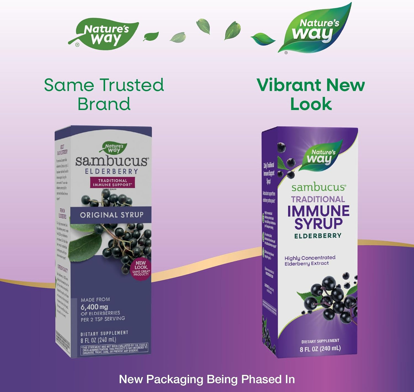 Nature’s Way Sambucus Elderberry Traditional Immune Syrup, Highly Concentrated Black Elderberry Extract, Traditional Immune Support*, Delicious Berry Flavored, 8 Fl Oz (Packaging May Vary)