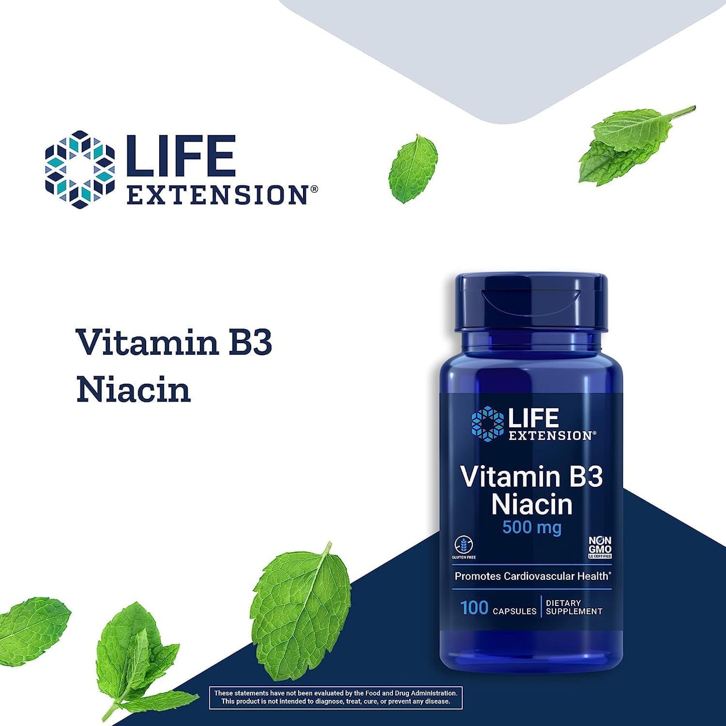 Life Extension Vitamin B3 Niacin 500 mg – Niacin (Vitamin B3), Supports Heart Health, Promotes cellular energy production – Gluten-Free, Non-GMO – 100 Capsules